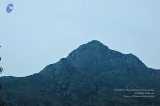 April 01 2008