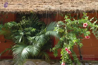 October 03 2010