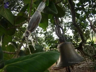 2008 - Glimpses Of Gurukul