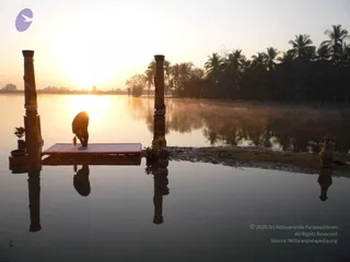 Nithyananda Yoga Poses