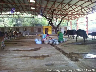 February 07 2022