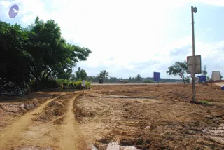 June 09 2009