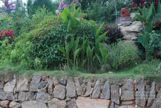 July 09 2010