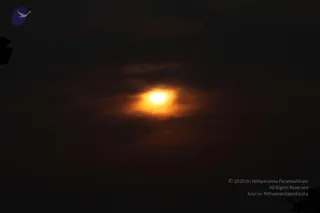 February 06 2010