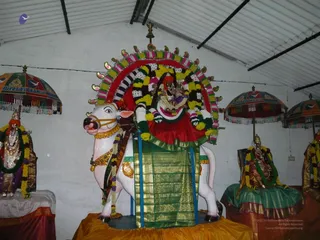 20080101 more 080517.jpg