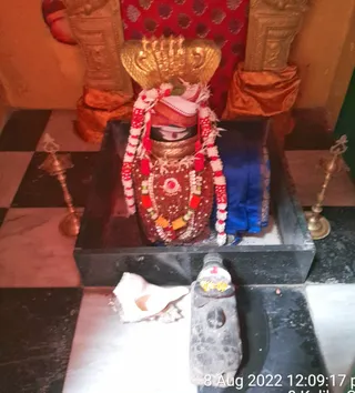 Photo 8286886