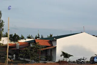 November 20 2008