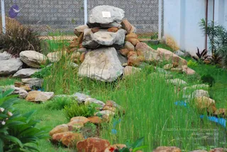 June 09 2009