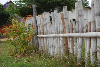 July 08 2010