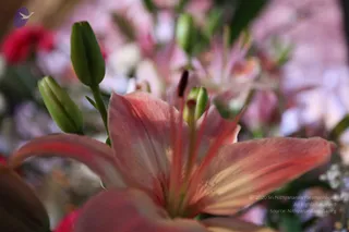 February 06 2010