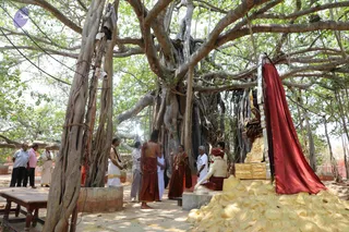 April 07 2019