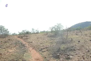 1978 - Tiruvannamalai - InnerGirivala