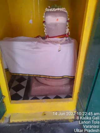 Photo 8286978
