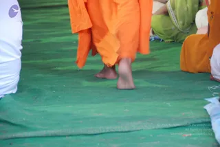 August 11 2009