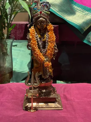 KAILASA SAN JOSE, USA on 3/3/2022