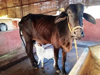 Jan 18 2022 sripuram