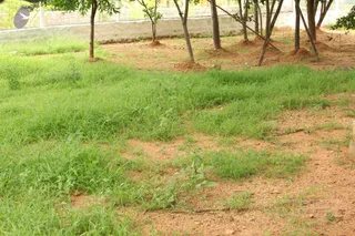 September 05 2009