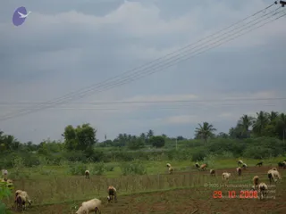 October 29 2006