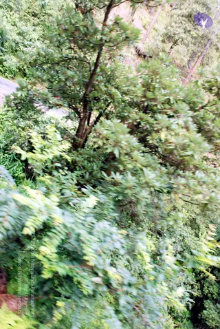 20080701 DSC 0227 CMP WM 0011.jpg