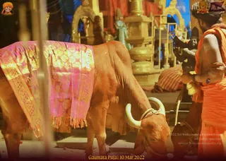 ADIKAILASA on 3/10/2022