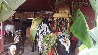 Jan 15 2022 sripuram