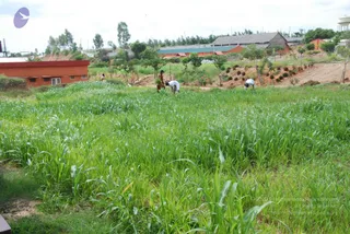 July 19 2010
