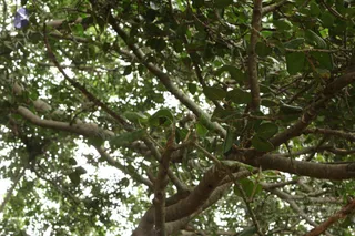 September 05 2009