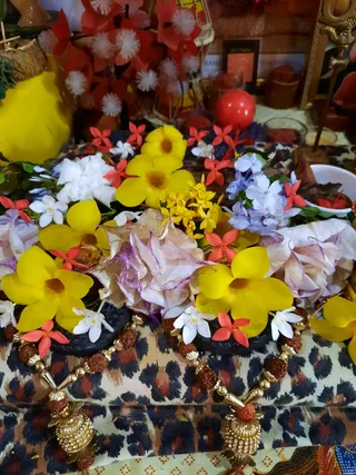 Photo 8287184