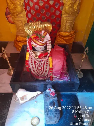 Photo 8287231