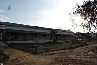 November 20 2008