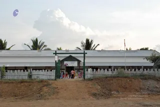 November 20 2008