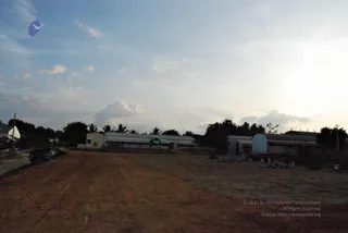 November 20 2008