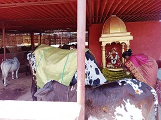 Jan 31 2022 sripuram