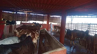 Jan 15 2022 sripuram