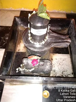 KAILASA India Uttar Pradesh Kashi 221001 on 2/1/2022