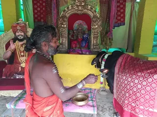 KAILASA India Kailasa kashi Kashi 221001 on 1/12/2022
