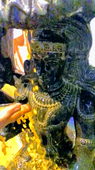 KAILASA SAN JOSE, USA on 3/12/2022