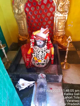 Photo 8287275