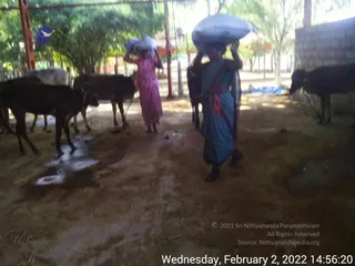 February 02 2022