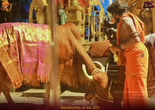 ADIKAILASA on 3/10/2022