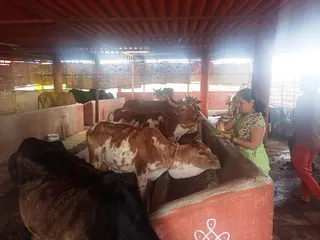 Jan 15 2022 sripuram