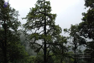 July 07 2008