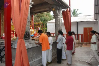 July 11 2010