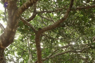 September 05 2009