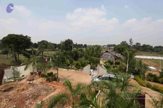 February 02 2010