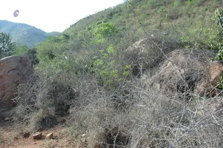 1978 - Tiruvannamalai - InnerGirivala