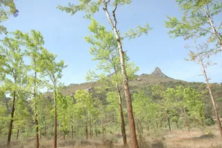 1978 - Tiruvannamalai - InnerGirivala