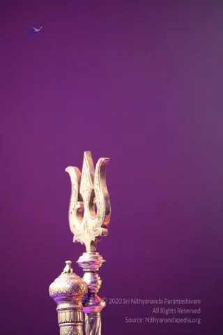 April 03 2018