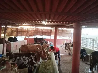 Feb 4 2022 sripuram
