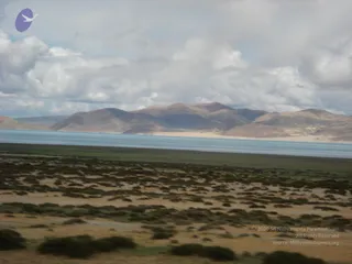 August 03 2011